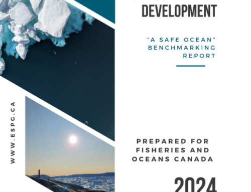 UN Decade of Ocean Science for Sustainable Development: “A Safe Ocean” Benchmarking Report