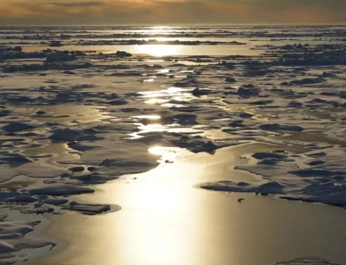 An Arctic ‘beyond recognition’ by 2100